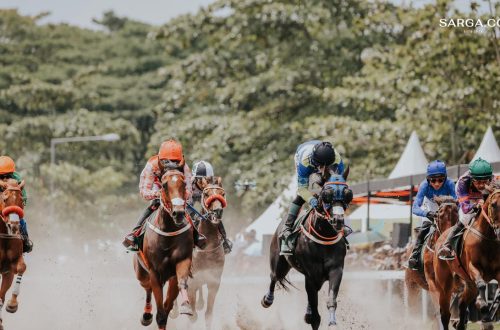 komunitas kuda - brickerperformanceponies