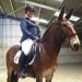 latihan kuda dressage - brickerperformanceponies