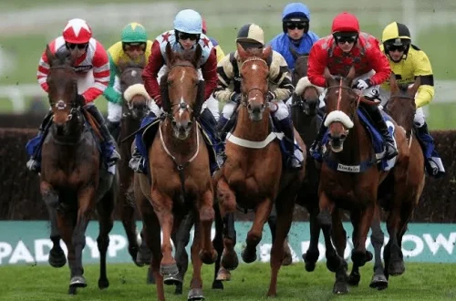 lifestyle equestrian - brickerperformanceponies