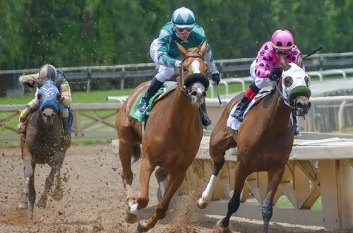 pacuan kuda - brickerperformanceponies