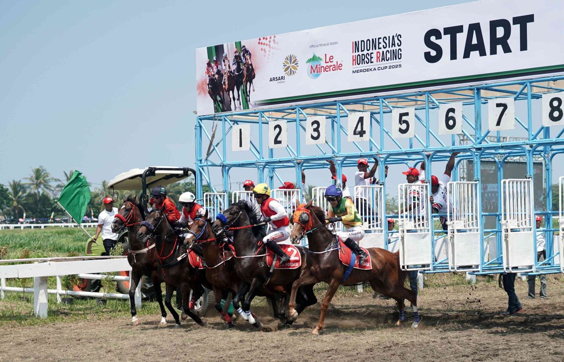 merawat kuda jadi tangguh - brickerperformanceponies