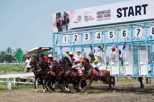 merawat kuda jadi tangguh - brickerperformanceponies