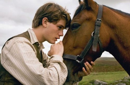 sifat unik kuda - brickerperformanceponies