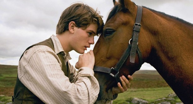 sifat unik kuda - brickerperformanceponies