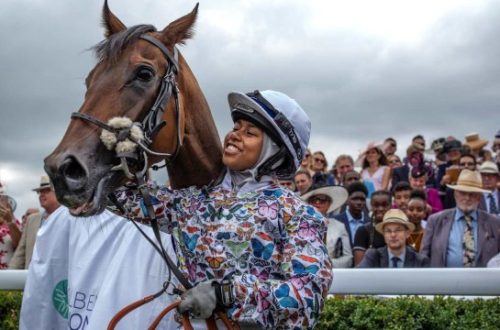 pelatih kuda - brickerperformanceponies