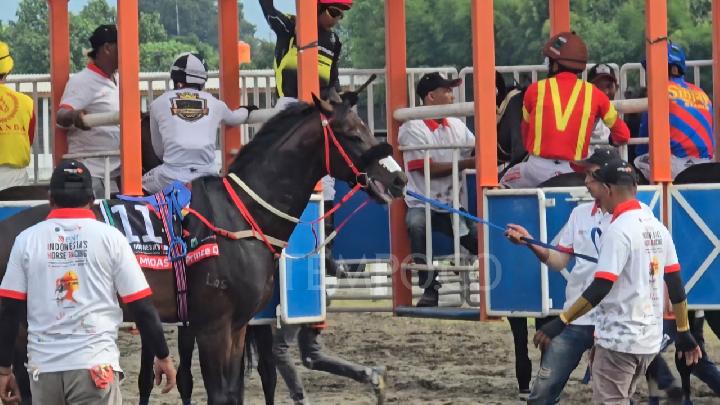 Komunitas Pecinta Kuda Terbaik di Indonesia