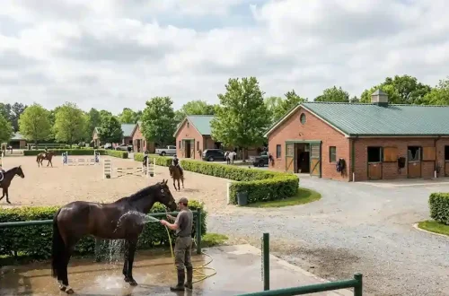 Daftar Sekolah Berkuda (Stable) Terbaik di Jabodetabek dan Fasilitasnya